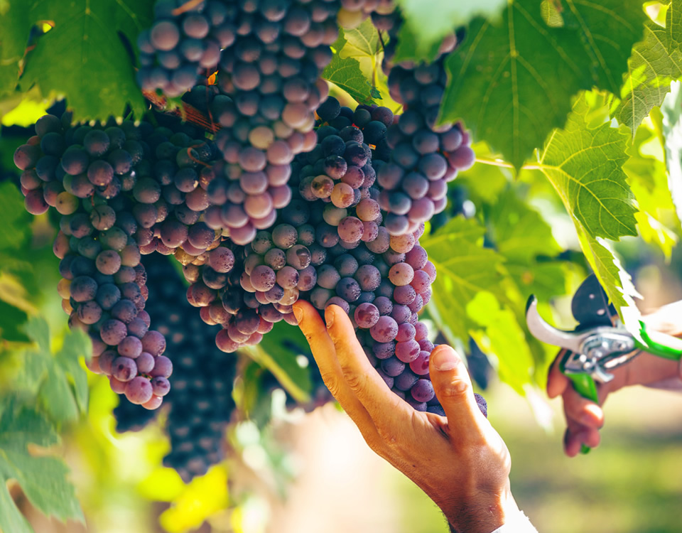 广州科技有限公司